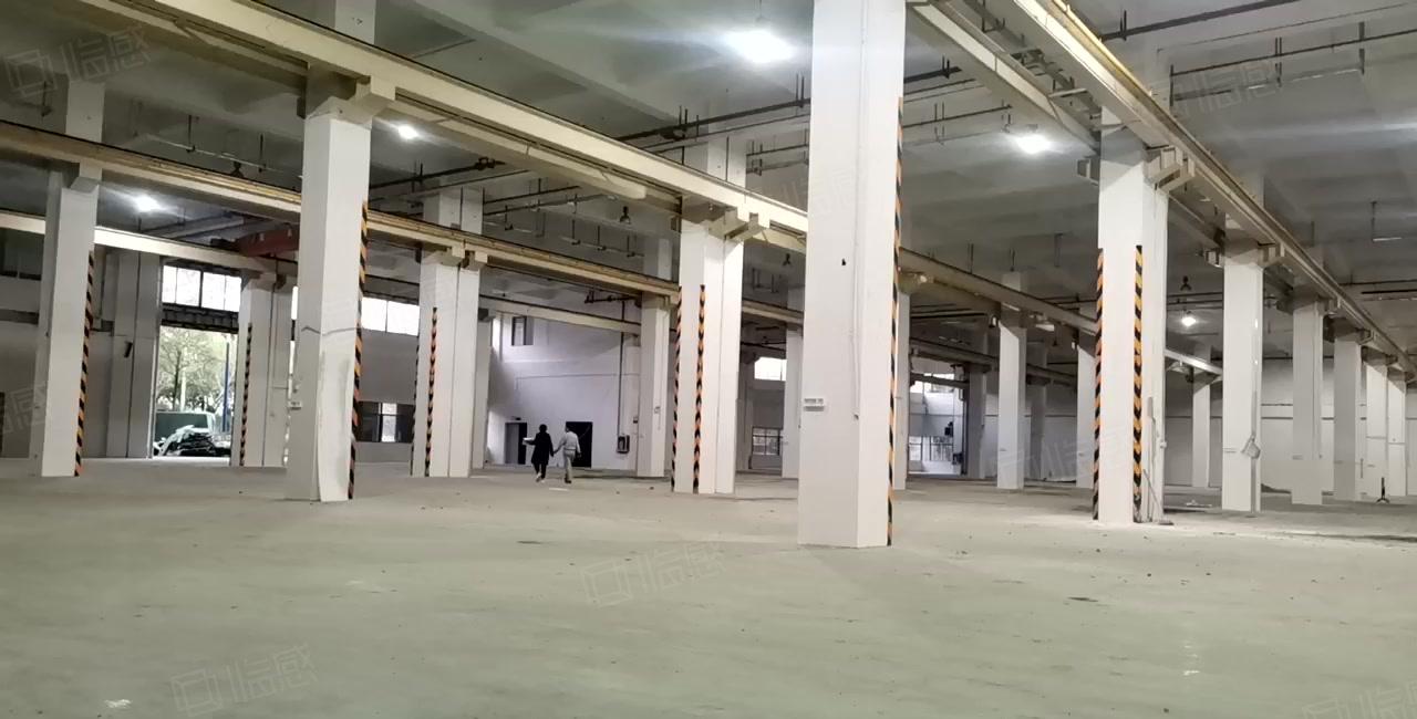 深圳市坪山区一楼12000平方米红本厂房出租，高度10米