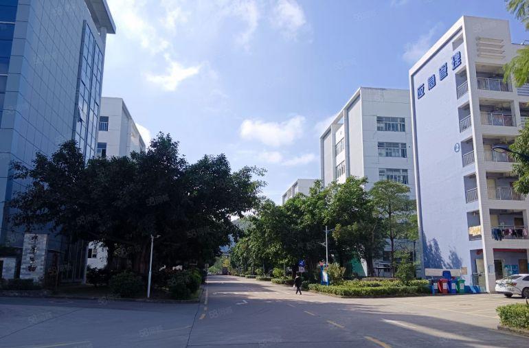 深圳坪山新出漂亮园区厂房1楼层高6米园区空地大沿主干道好招工