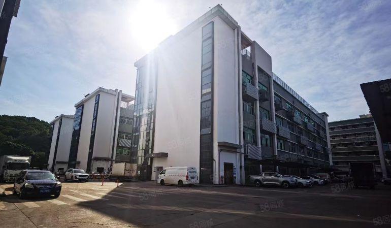 坪山原房东科技园楼上1000平方精装修办公室厂房仓库出租