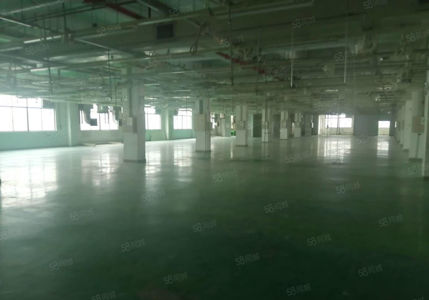 300平起租坪山大工业区原房东工业园区2万平现成装修独栋厂房