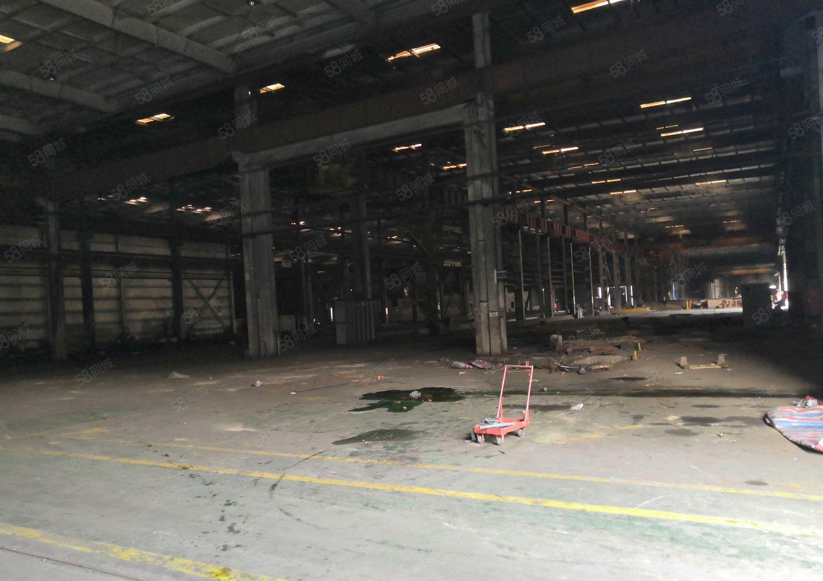 坪山宝龙14米钢构厂房面积共50000平方米大小可分租