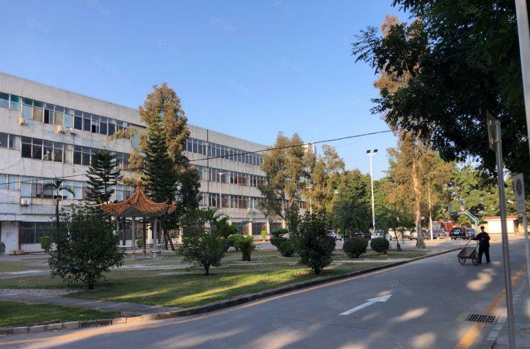 原房东，坪山坑梓新出一楼1000平带行吊仓库办公室厂房出租