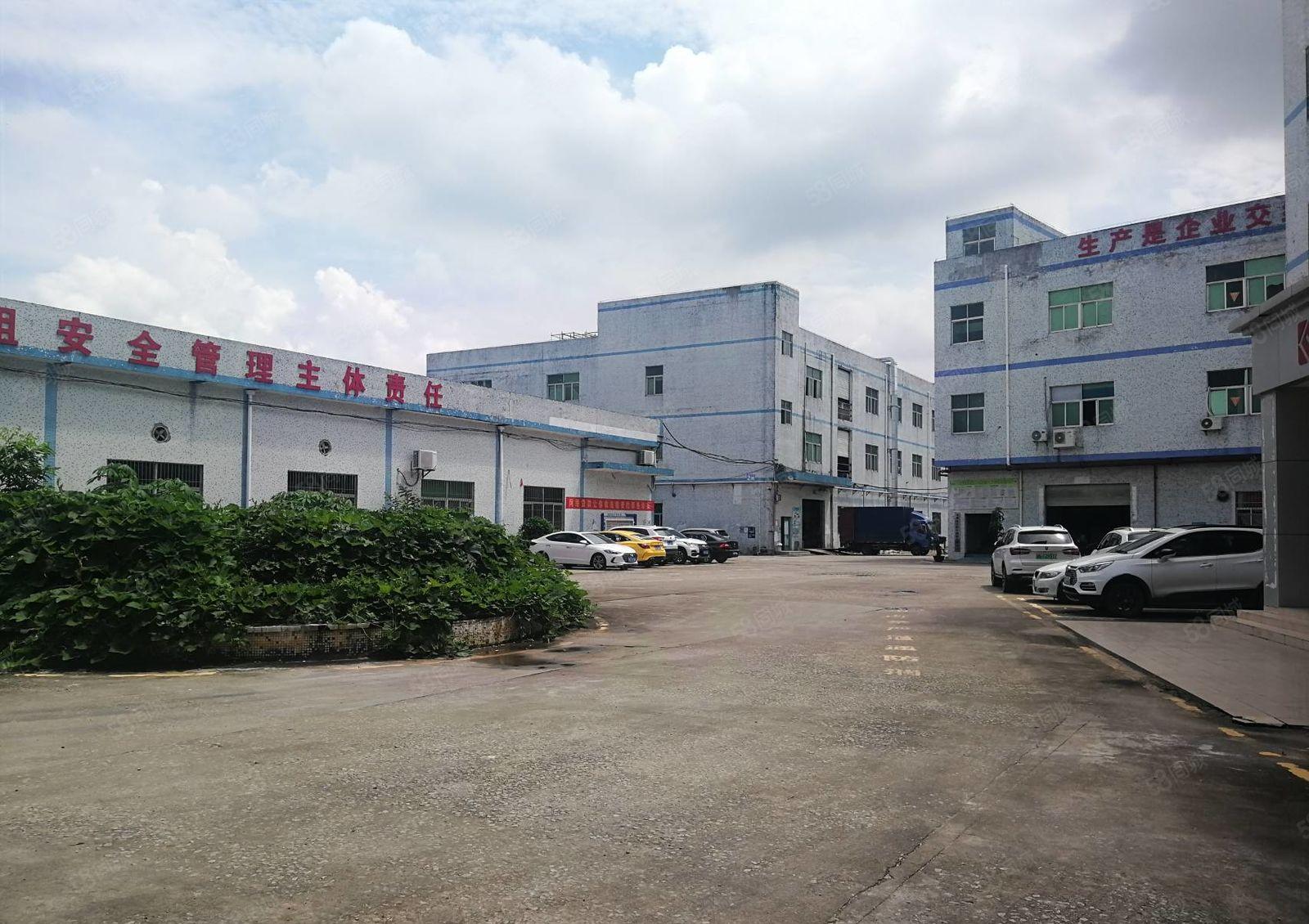 200平起分租坪山石井原房东独院一楼厂房出租1000平空地