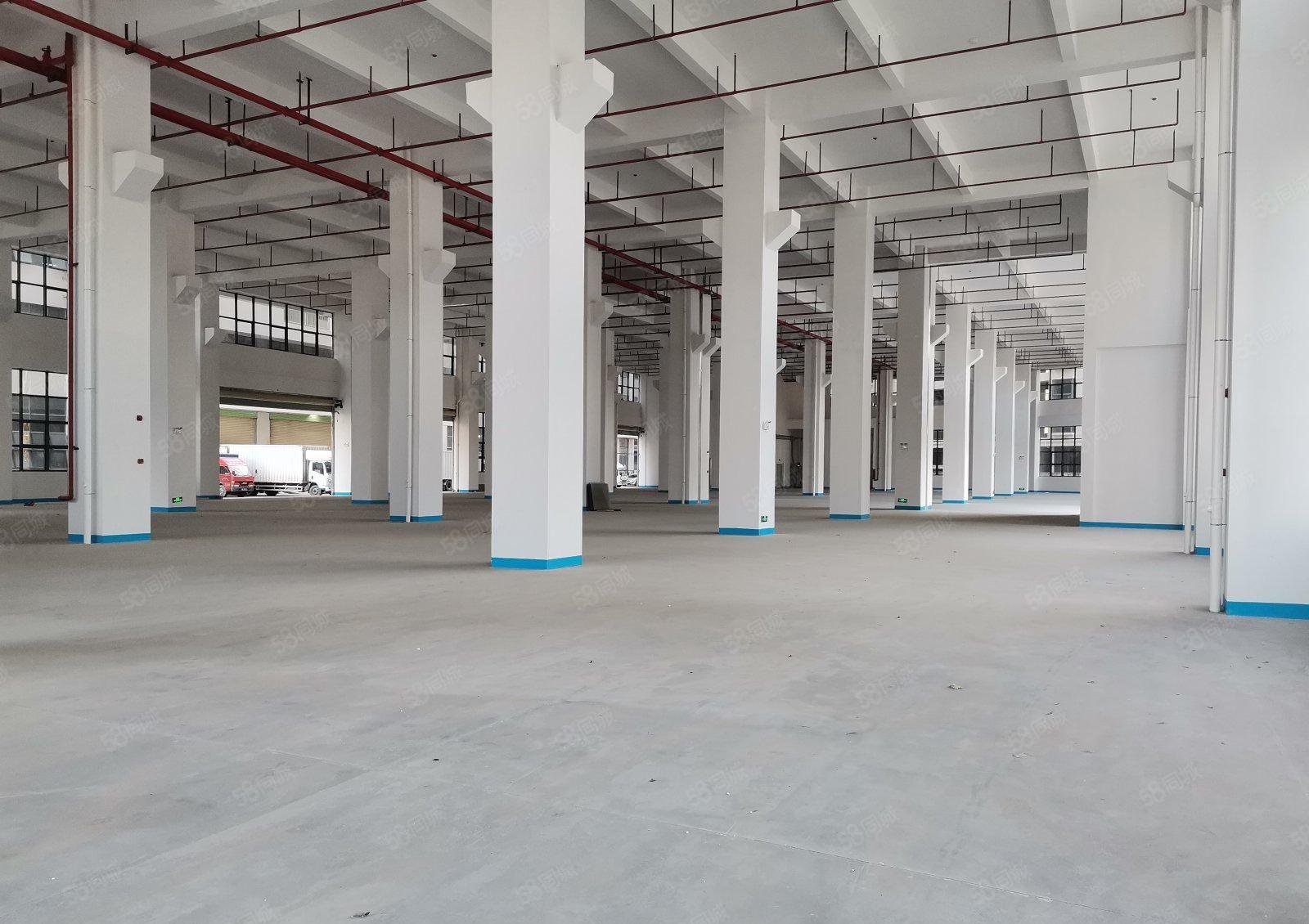 红本厂房深圳市坪山区一楼11米高4500平方米形象好配套齐全