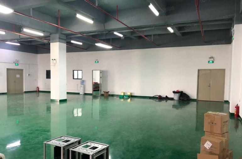 大工业区厂房出租780平方带现成装修水电领包即可入驻