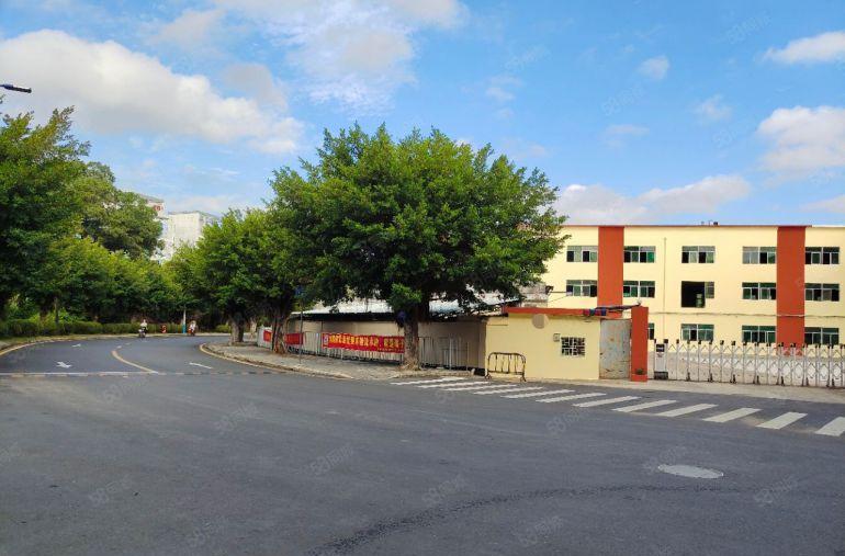 坪山地铁口原房东独院5000平方厂房仓库出租 空地超大可分租