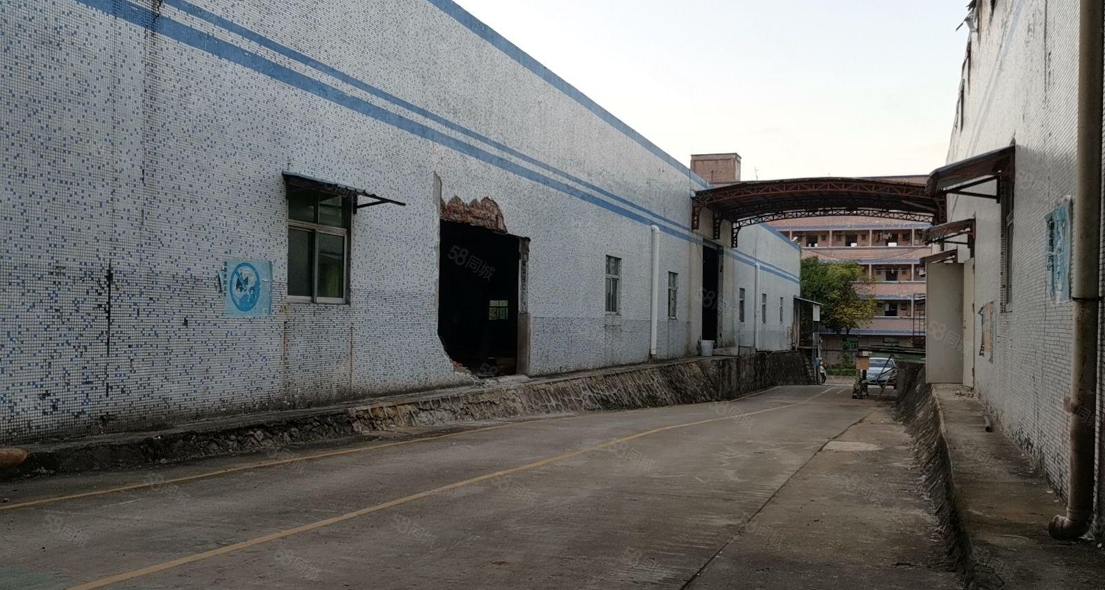 龙岗坪地年丰厂房类型钢构厂房面积总面积8000可分