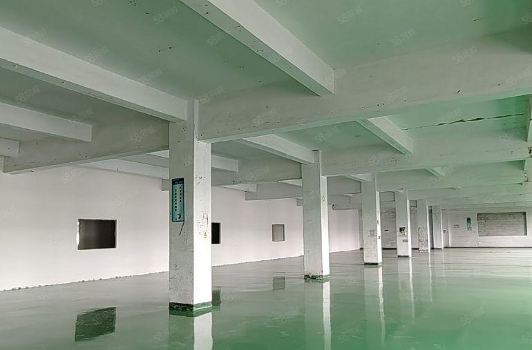 200平起分租坪山金田路石井地铁口独院二楼900平高4.2米