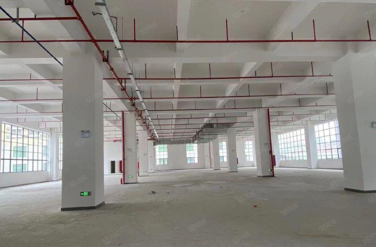 超大空地坪山坑梓原房东全新红本独门独院厂房出租可办环评可分租