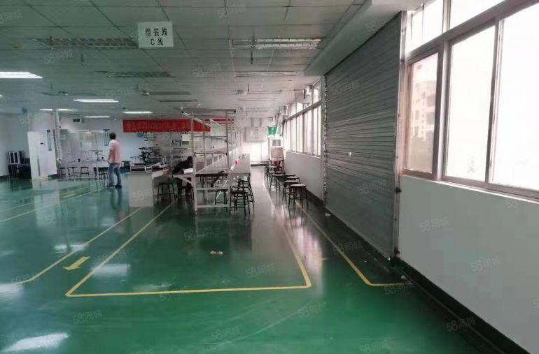 南坪高速口坪山天虹地铁出来红本厂房电商办公仓 100平起分租