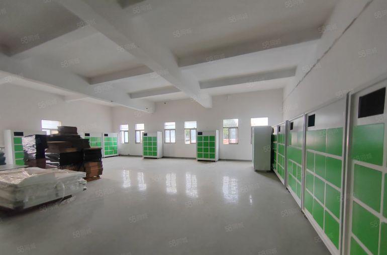 坑梓300平方标准厂房出租500平方厂房出租带电梯停车免费