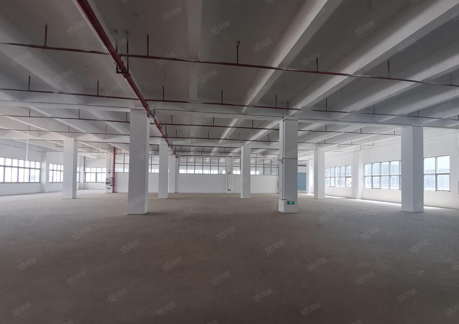 坪山高薪产业园独栋厂房5000平出租可分租！带红本