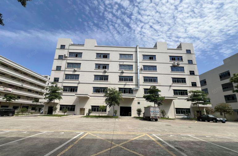 14元易招工带红本村委直租坪山高新产业园500平仓库厂房出租