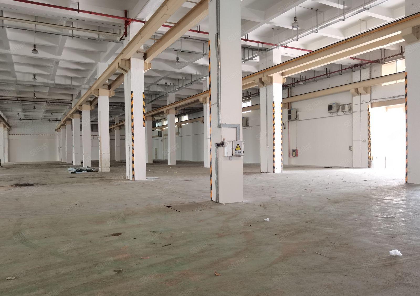 深圳坪山特种厂房10000平方层高10米带5吨航车带装修办公