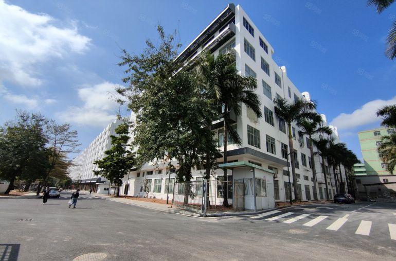 生物医疗坑梓5000平一二楼原房东红本全新厂房500平起分