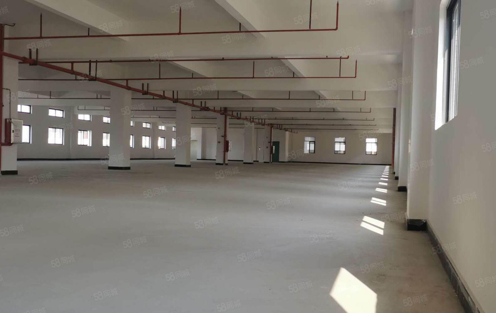 坑梓比亚迪旁边空出红本全新厂房15层26000平米大小分租