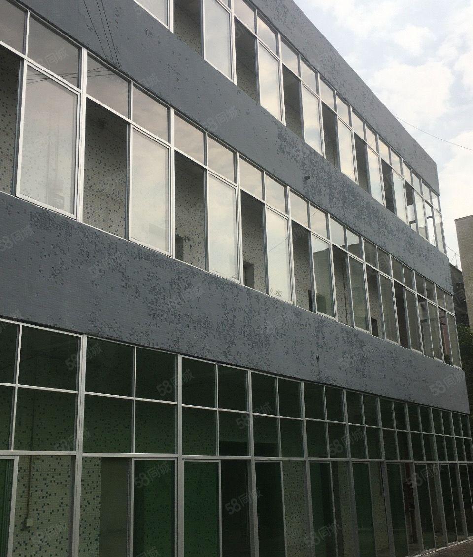 新出别墅式独院标准厂房23元平先到先得，深圳坪山坑梓街道