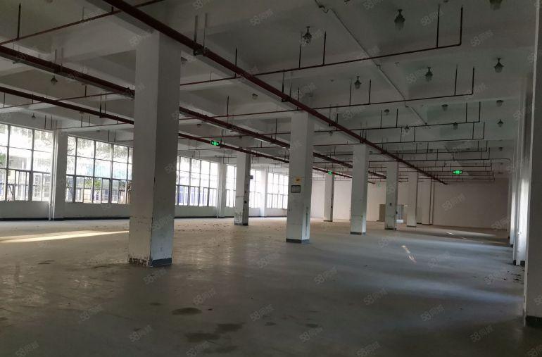 深圳市坪山区52000平方米红本厂房出租，每栋26090平米