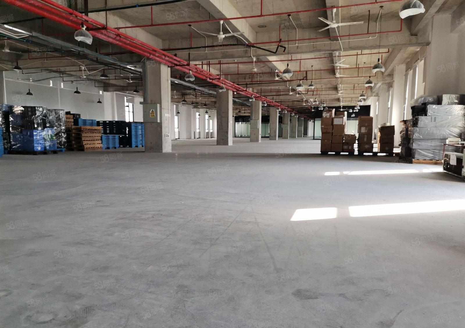 深圳市坪山区大工业区原房东红本整层2300平方米，厂房出租