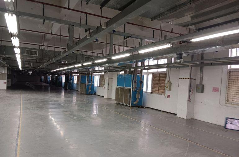 1000平方起分组坪山漂亮园区红本消防喷淋精装修配套成熟齐全