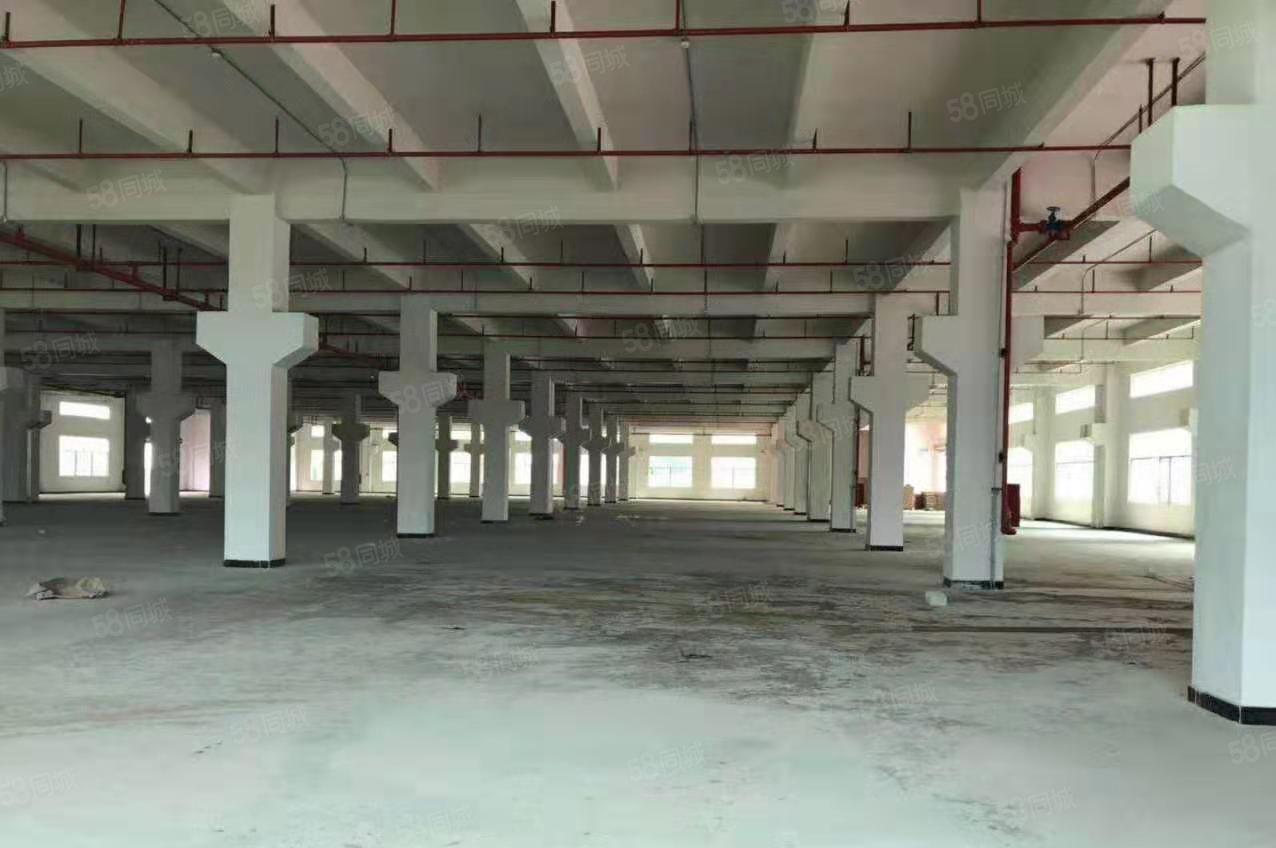 坪山新区原房东红本独院花园式厂房12000招租可办环评