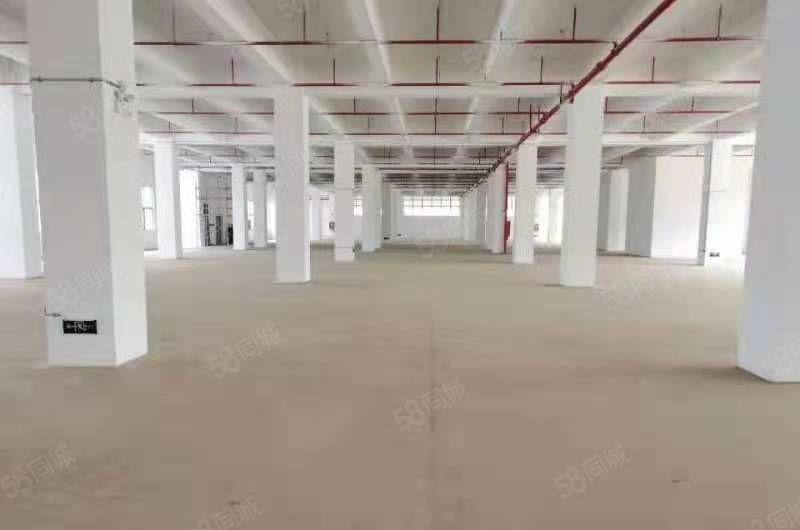 坪山六联一楼厂房570平方厂房办公室仓库出租.可分租