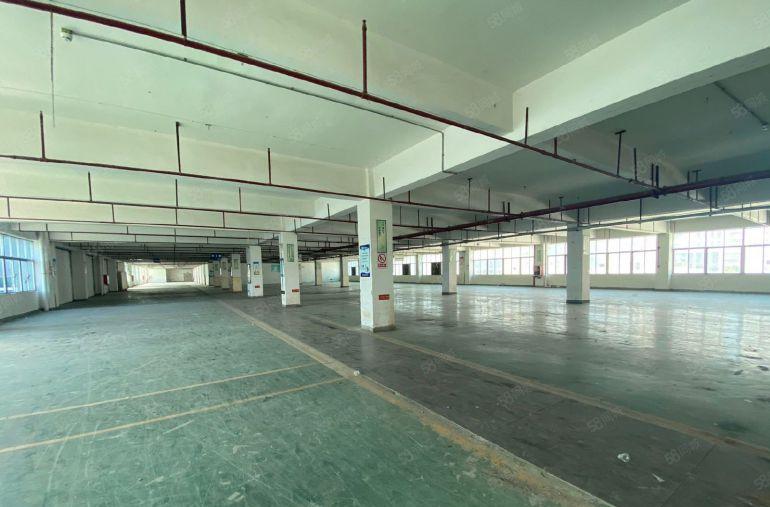 大工业区原房东厂房出租2800平方实际面积红本租赁