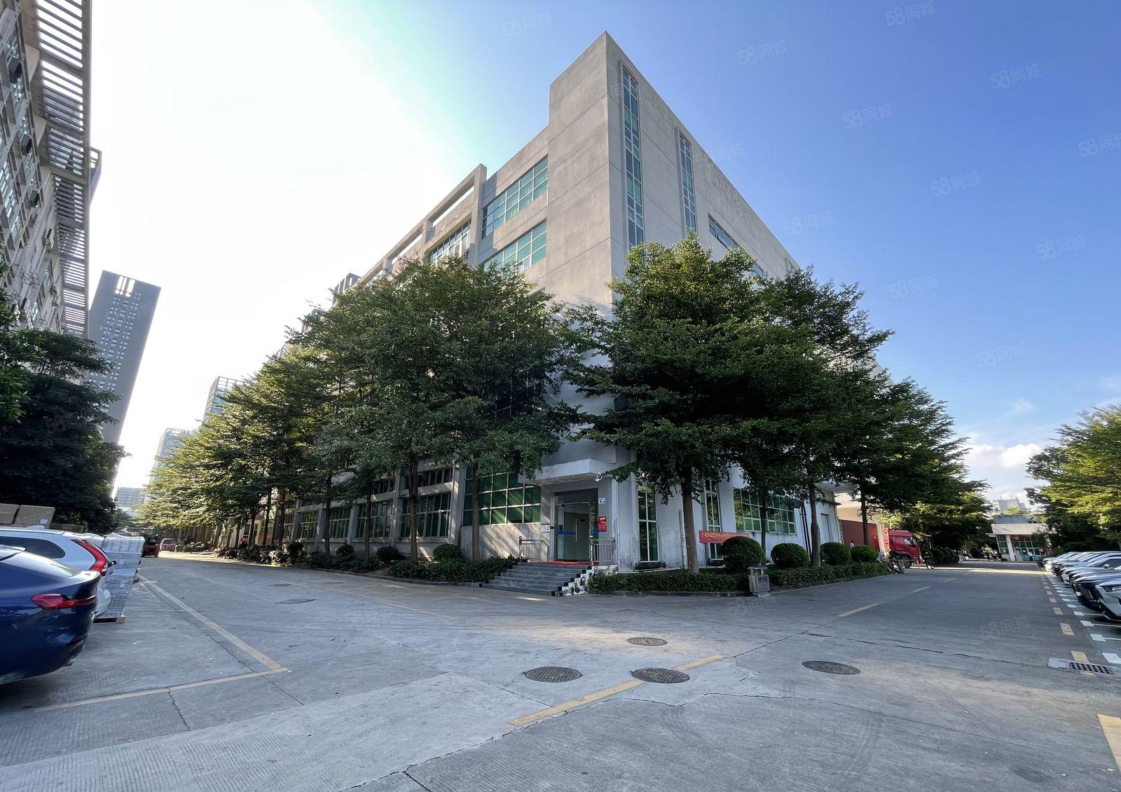 坪山坑梓科技园新出楼上1300平精装带地坪漆办公仓库厂房出租