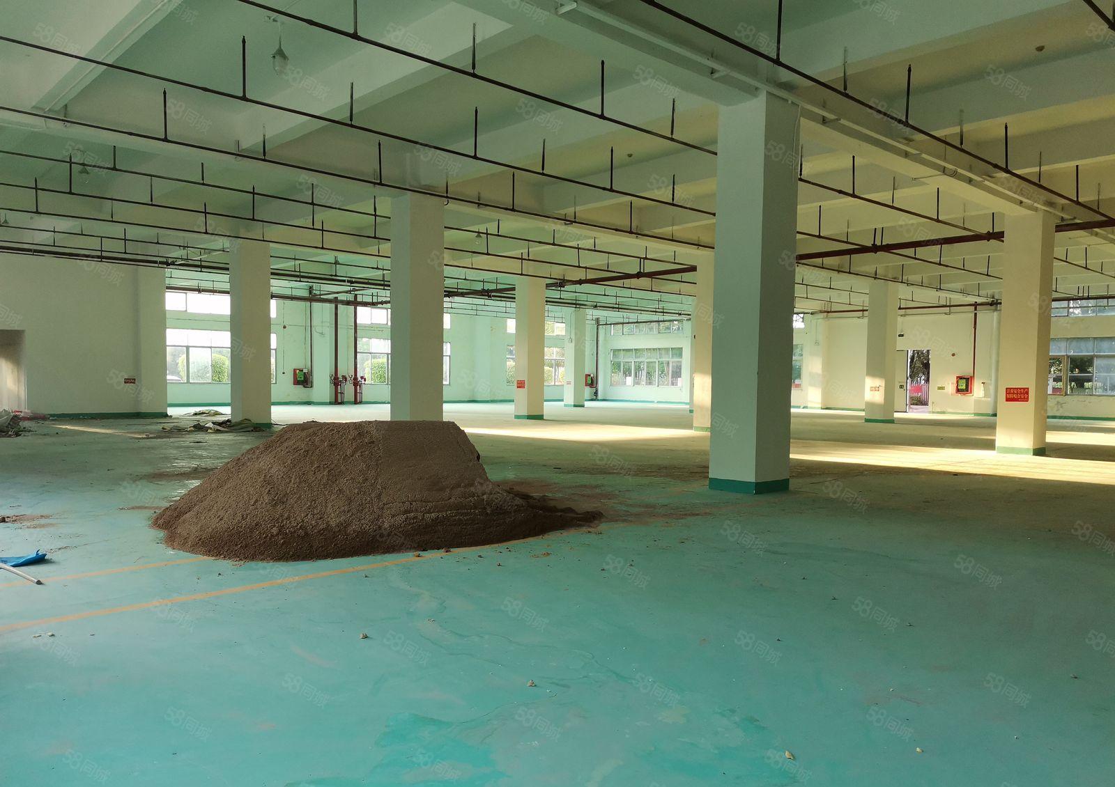 深圳坪山原房东1楼1700平方米，红本厂房出租，高度6.5米