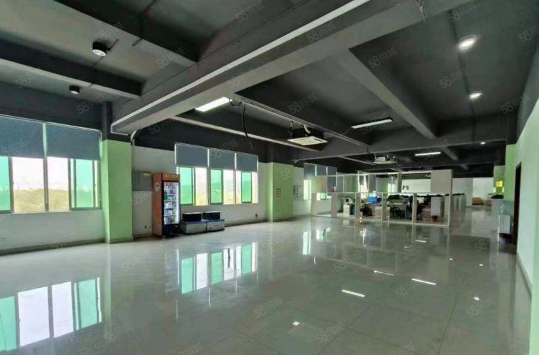 深圳坪山石井厂房出租带现成水电装修办公室