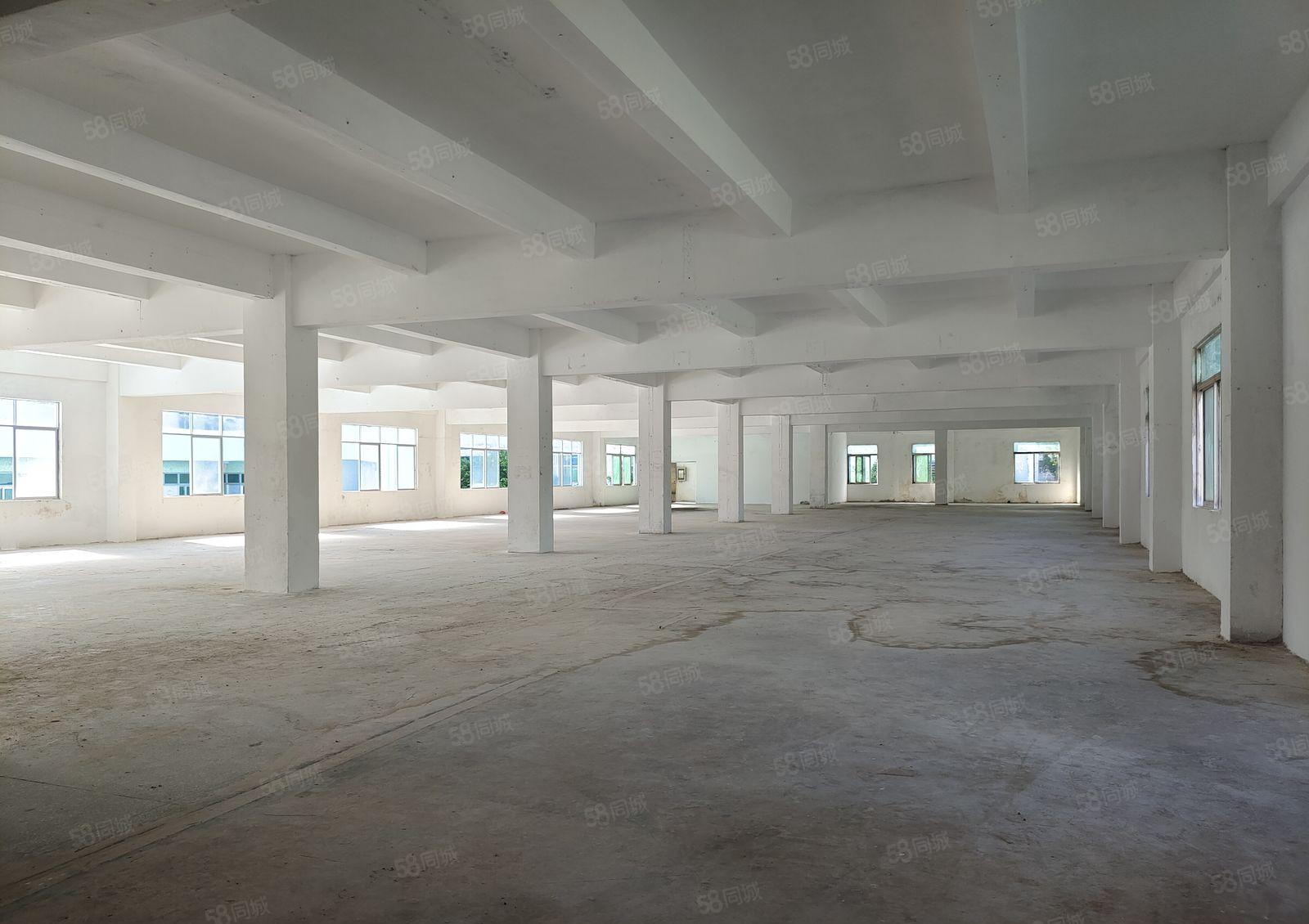 坪山碧岭金碧路边上独院厂房层高4.8米，可以分租500平方