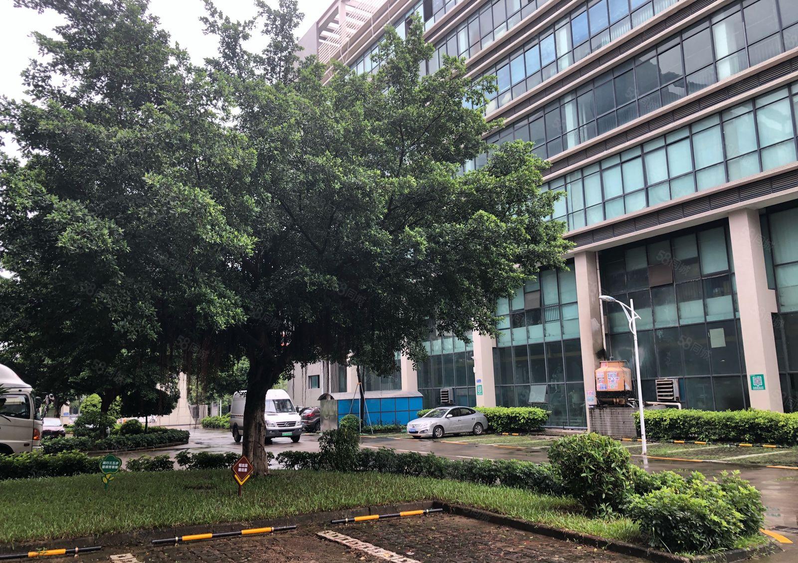 坪山金牛路与龙坪路附近原房东2000平一层共三层可分租