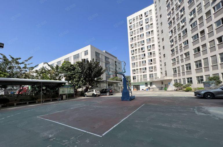 坪山原房东独院单层面积4000平方厂房出租主干道形象好易招工