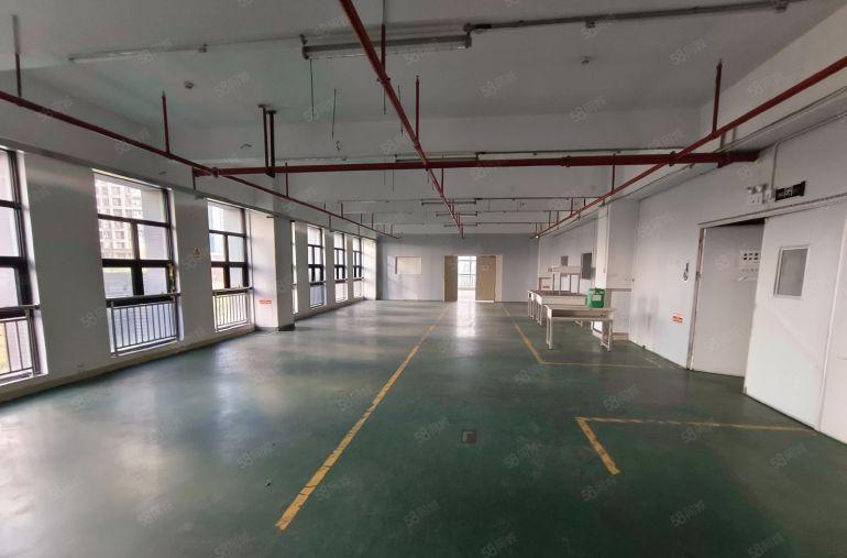 坪山大工业区新出楼上厂房 1000平可分租装修已隔好看视频