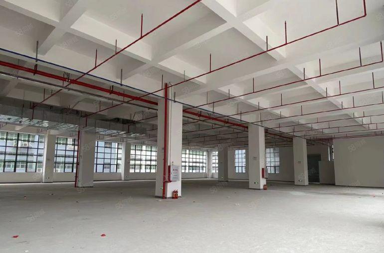 （出租）低至13元笋盘原房东红本直租坪山大工业区好招工可分租