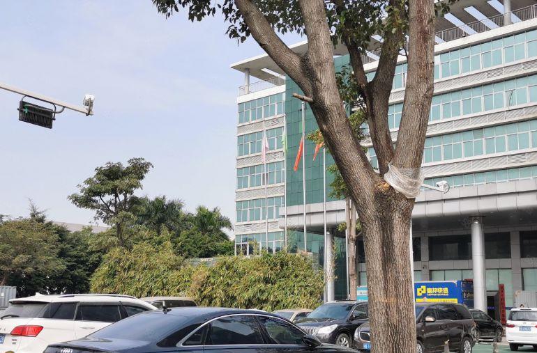 坪山锦龙原房东科技园新出800平红本带精装办公仓库厂房出租