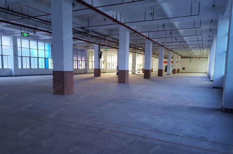 深圳市坪山区52000平方米红本厂房出租，每栋26090平米