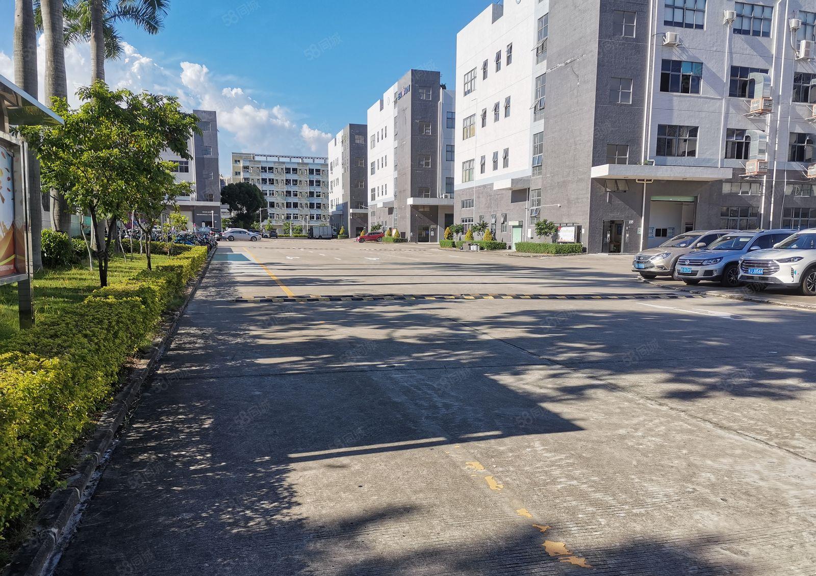 坪山坑梓大工业区原房东红本一楼1500平方层高6米大小可分租