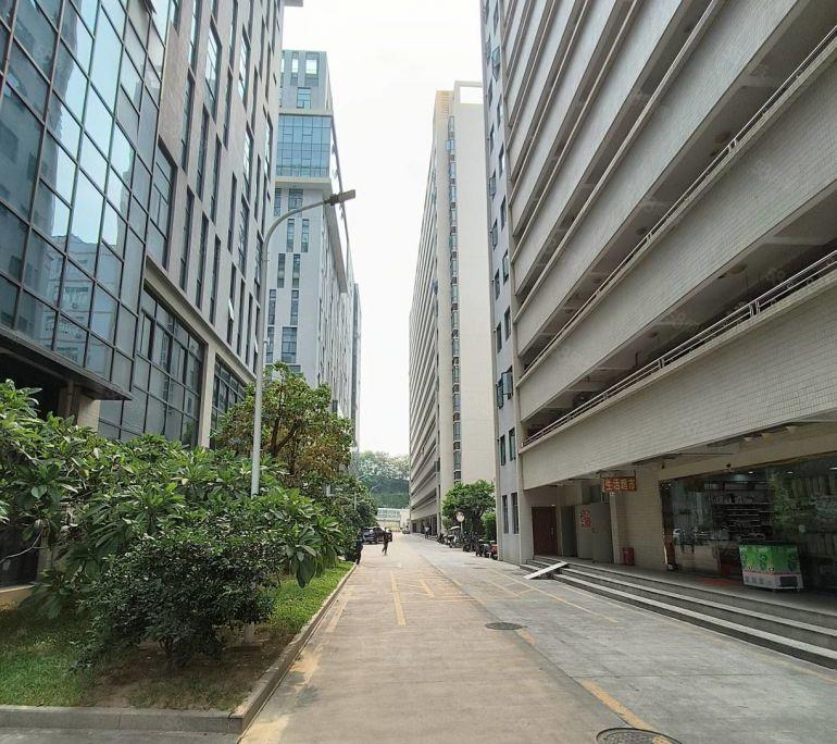 坪山坑梓大工业区一二楼2000平厂房大小可分租一楼6米