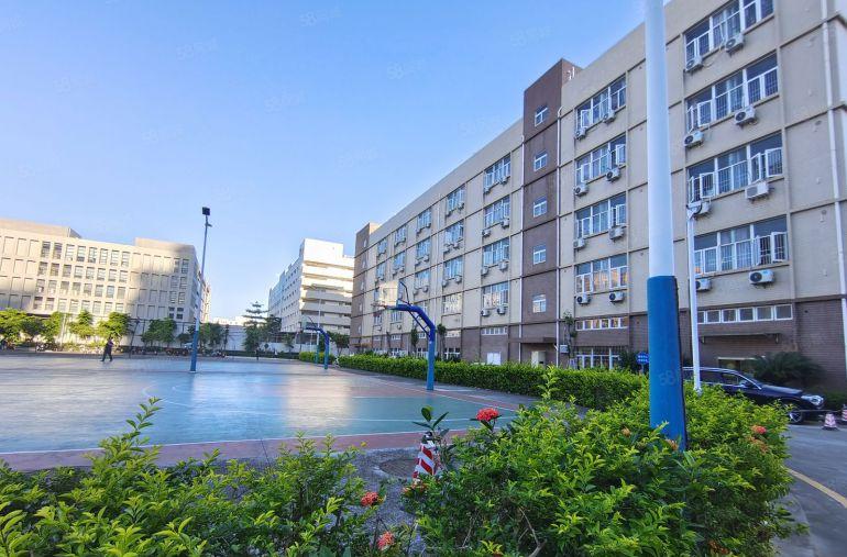 坪山坑梓原房东大型科技园1楼2000平带装修办公厂房仓库出租