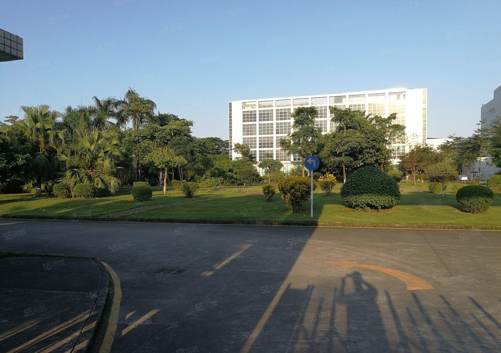 独门独院！坪山1万平方原房东厂房出租一楼高6米空地大仓库出租