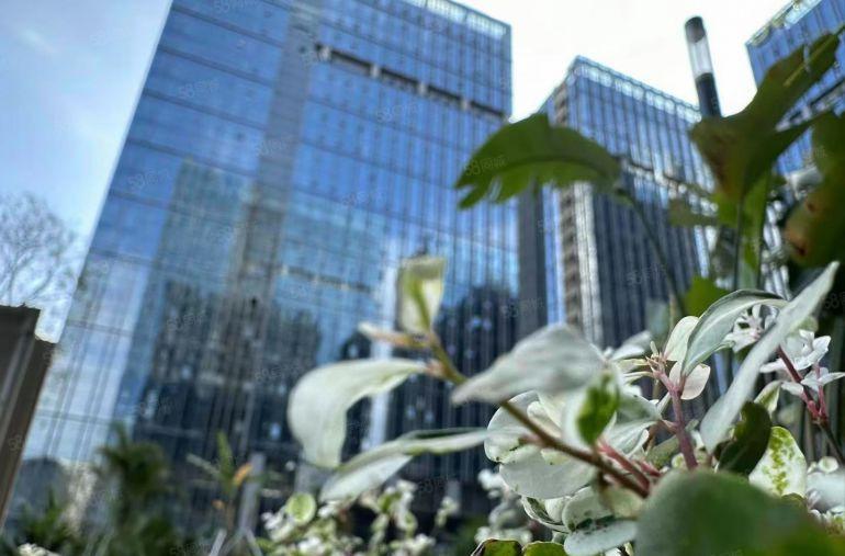 业主直租年底特价坪山坑梓多彩硅谷工业上楼139厂房出租