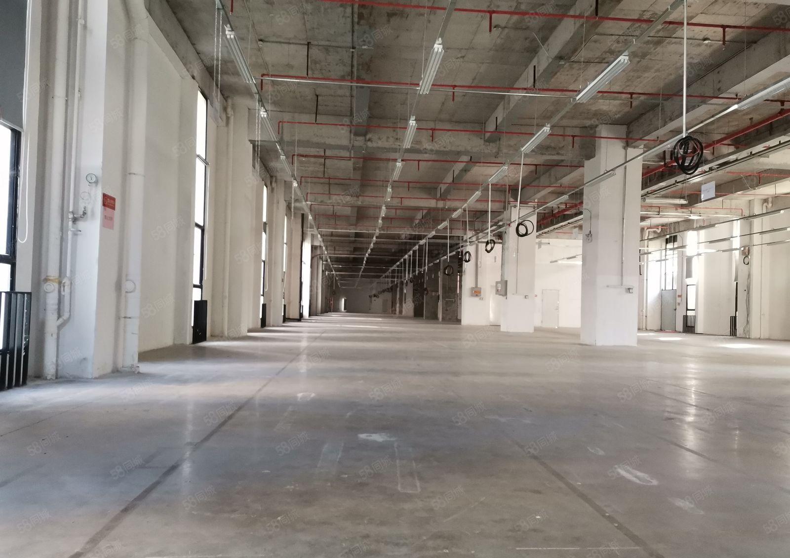 深圳市坪山区大工业区原房东红本整层2300平方米，厂房出租