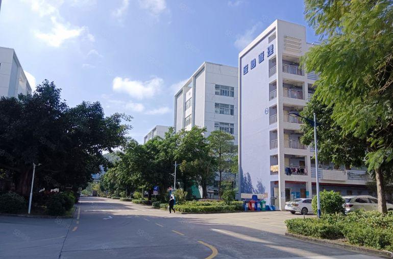 深圳坪山新出漂亮园区厂房1楼层高6米园区空地大沿主干道好招工