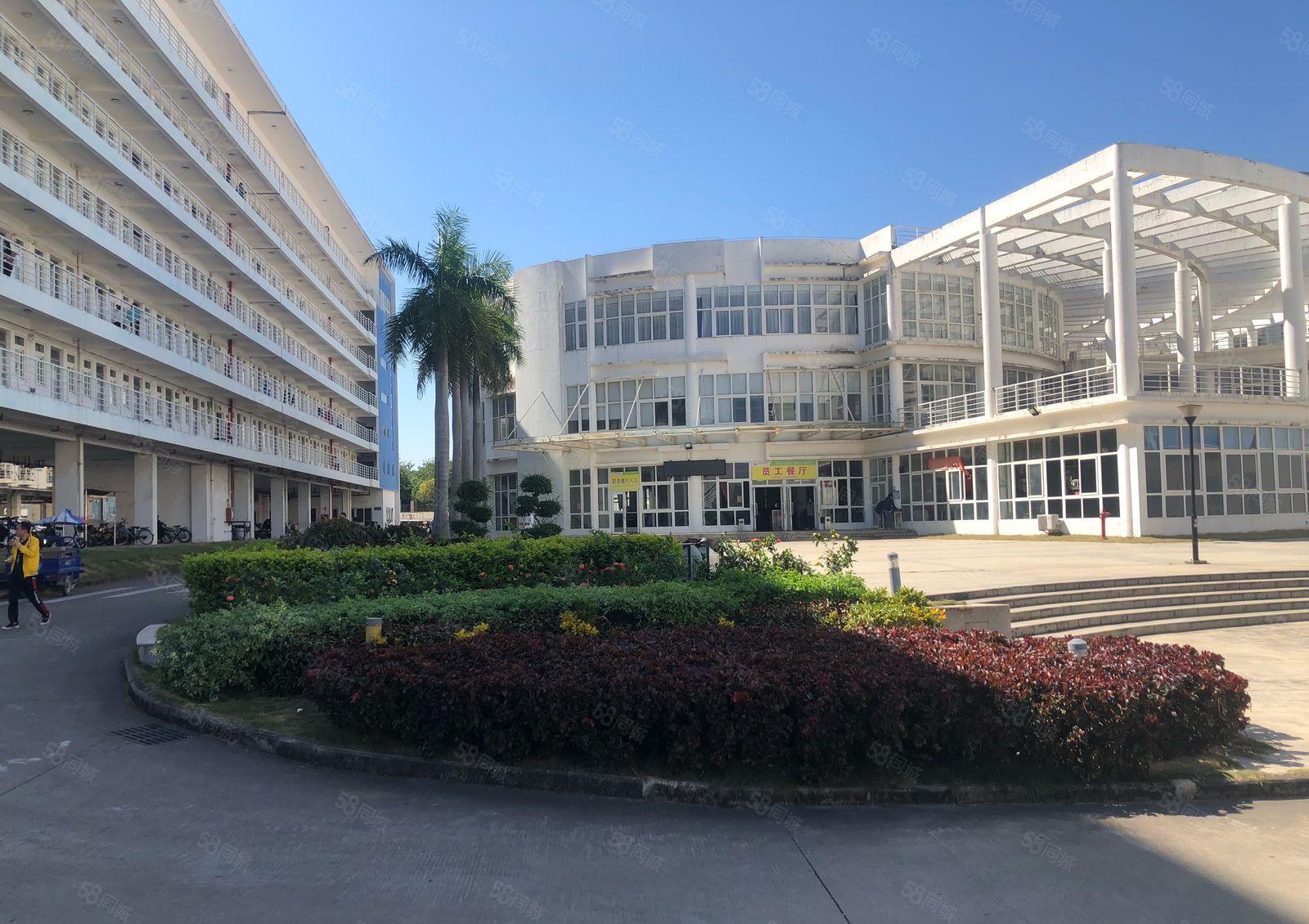 200平起分租坪山聚龙山产业园原房东8000平红本厂房出租