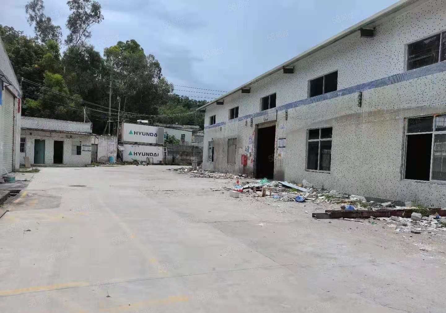 龙岗坪地年丰厂房类型钢构厂房面积总面积8000可分