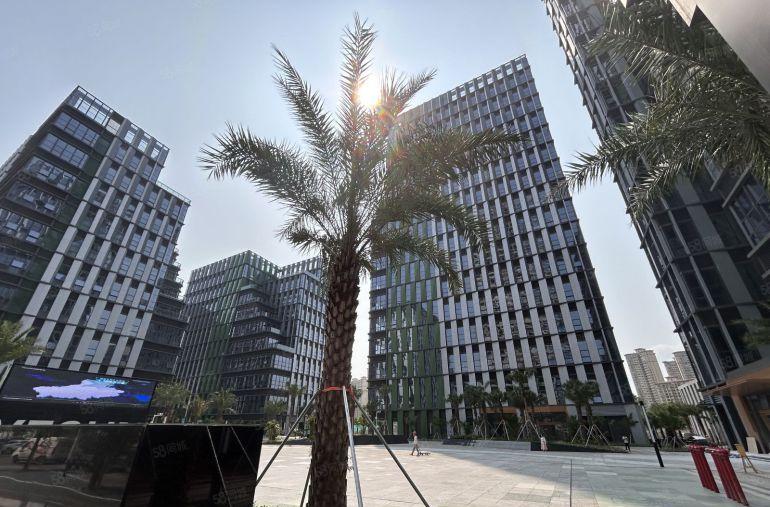 深圳坪山高新生物医疗产业园 500平厂房仓库出租 超长免租期