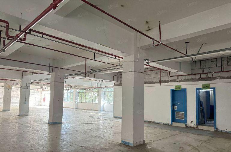 坪山坑梓原房东带装修厂房出租，有红本，形象好