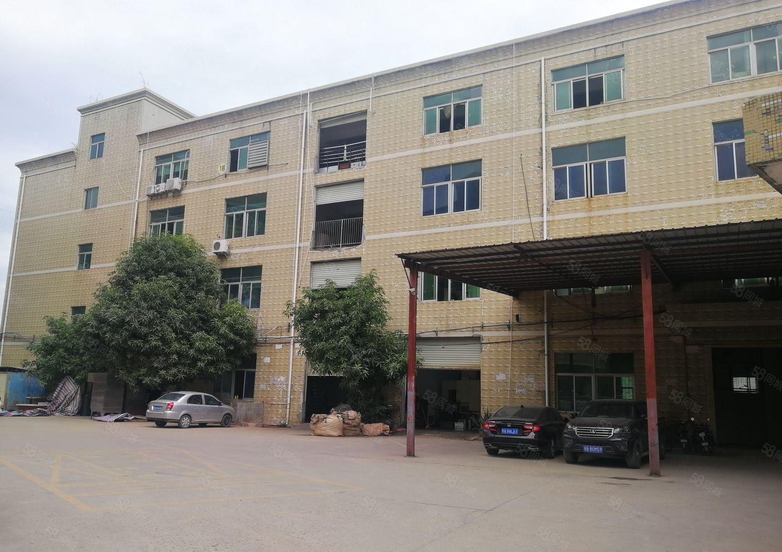 20元700平带地坪漆有办公室坪山碧岭楼上厂房招租