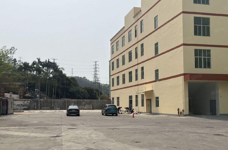 坪山区石井红本标准厂房1楼1300平出租，可300起分租